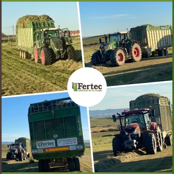 Arrendamiento de Tierras en Huesca y Gestión Agrícola