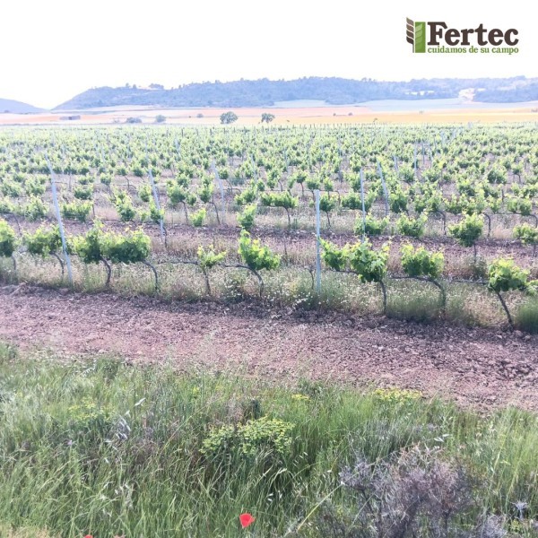 El Futuro de la Agricultura Sostenible en Huesca: Innovación y Adaptación