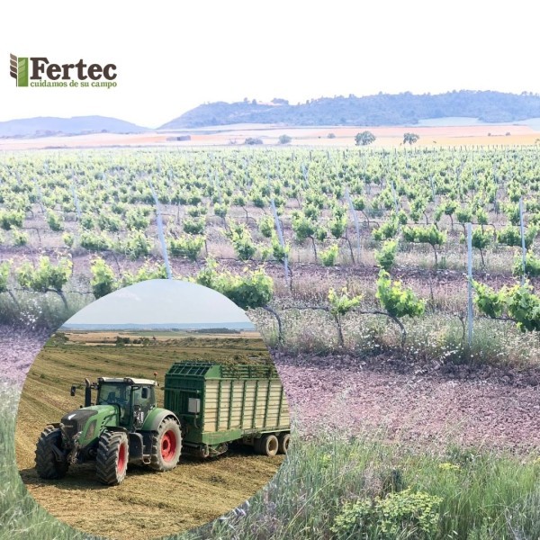 Experiencias de Campo con Fertec Agro | Innovación y Sostenibilidad