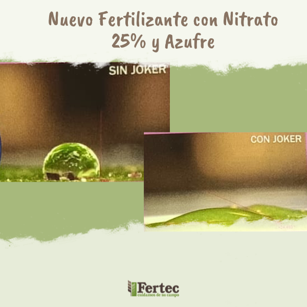 Nuevo Fertilizante con Nitrato 25% y Azufre: Máxima Eficiencia
