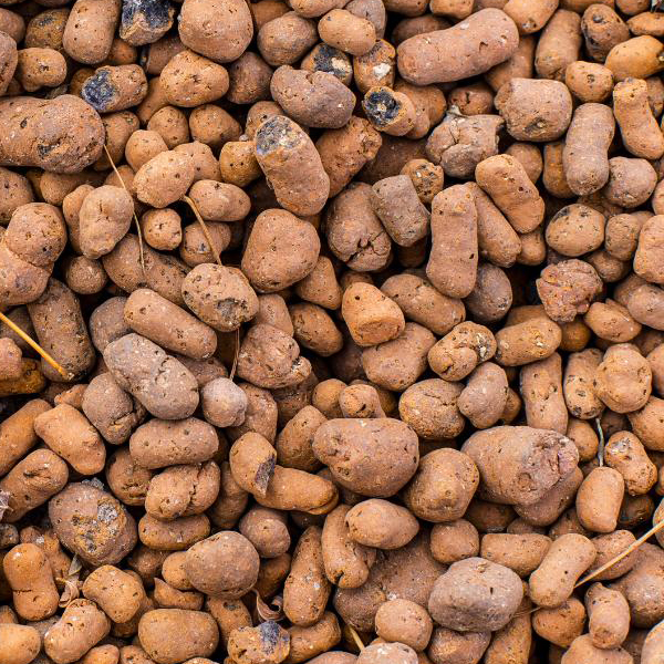 5 Razones por las que tu Campo Necesita Arlita
