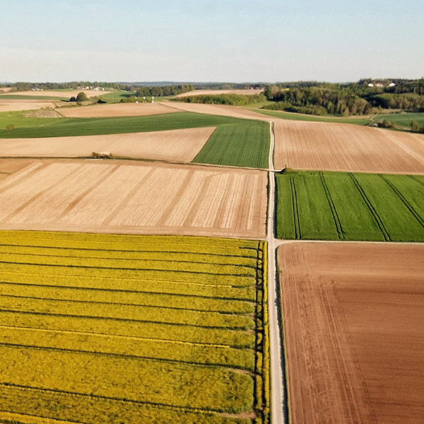 Cumplimiento de la Nueva Normativa y Avances en Agricultura Sostenible con FERTEC