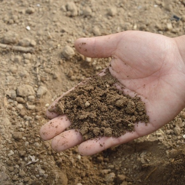 5 Razones para Usar Fertilizantes Orgánicos en Huesca